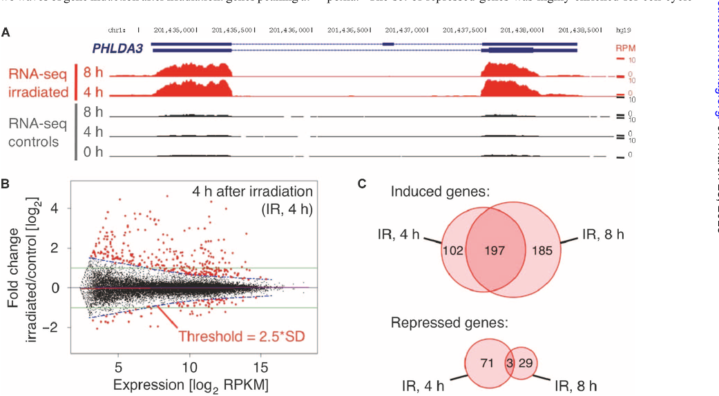 Fig. 1. IR-responsive genes identified using RNA-seq. (A) Example of an IR- those whose fold change was at least 2.5-fold the SD (dashed blue lines). induced gene, PHLDA3, detected by RNA-seq at 4 and 8 hours after ir-