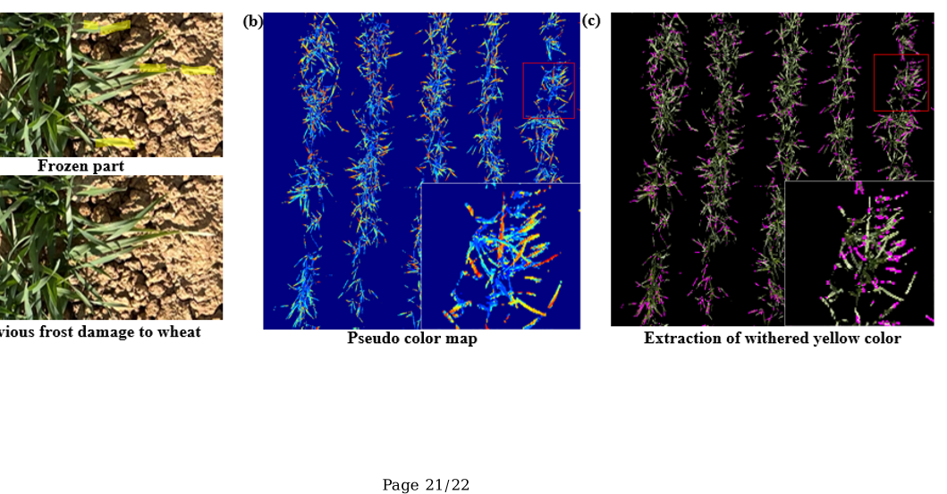 Figure 13