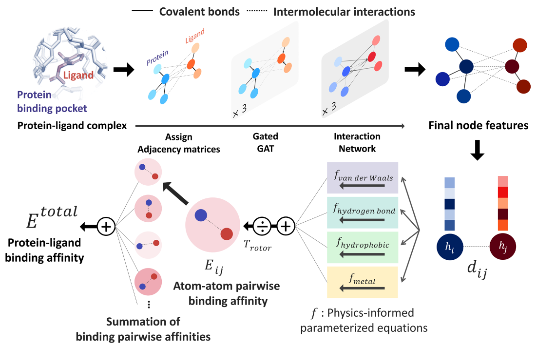 Fig. 1 Our model architecture. A protein-ligand complex is represented in a graph and adjacency matrices are assigned from the binding structure of the complex. Each node feature is updated through neural networks to carry the information of covalent bonds and intermolecular interactions. Given the distance and final node features of each atom pair, four energy components are calculated from the physics-informed parameterized equations. The total binding affinity is obtained as a sum of pairwise binding affinities, which is a sum of the four energy components divided by an entropy term.
